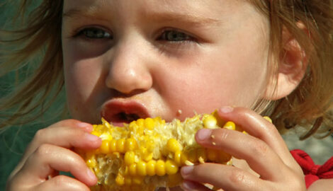 Campaign Contributions Given From Companies in Favor of Genetically Modified Agriculture Image